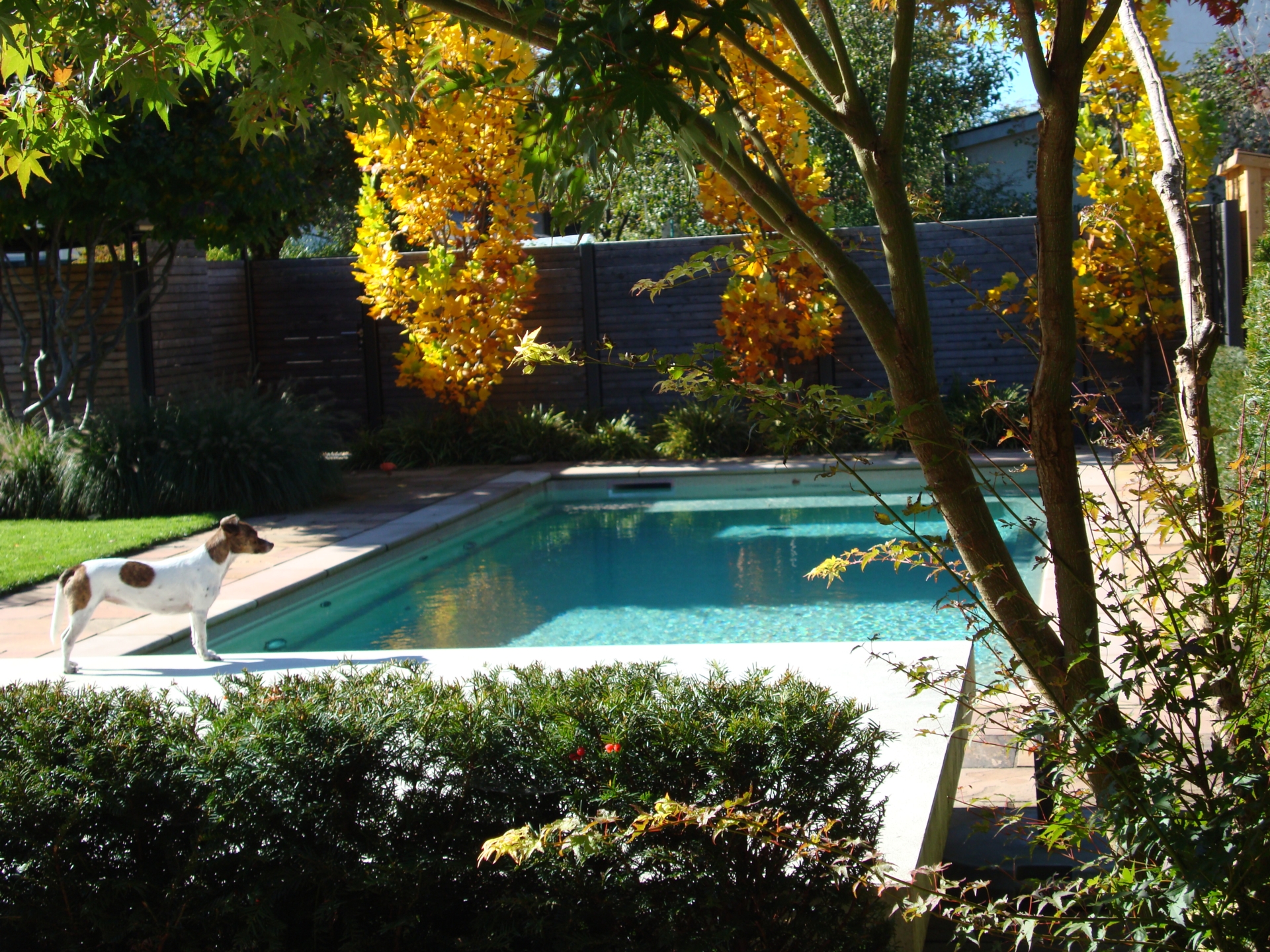 Der 10x20- Meter-Garten